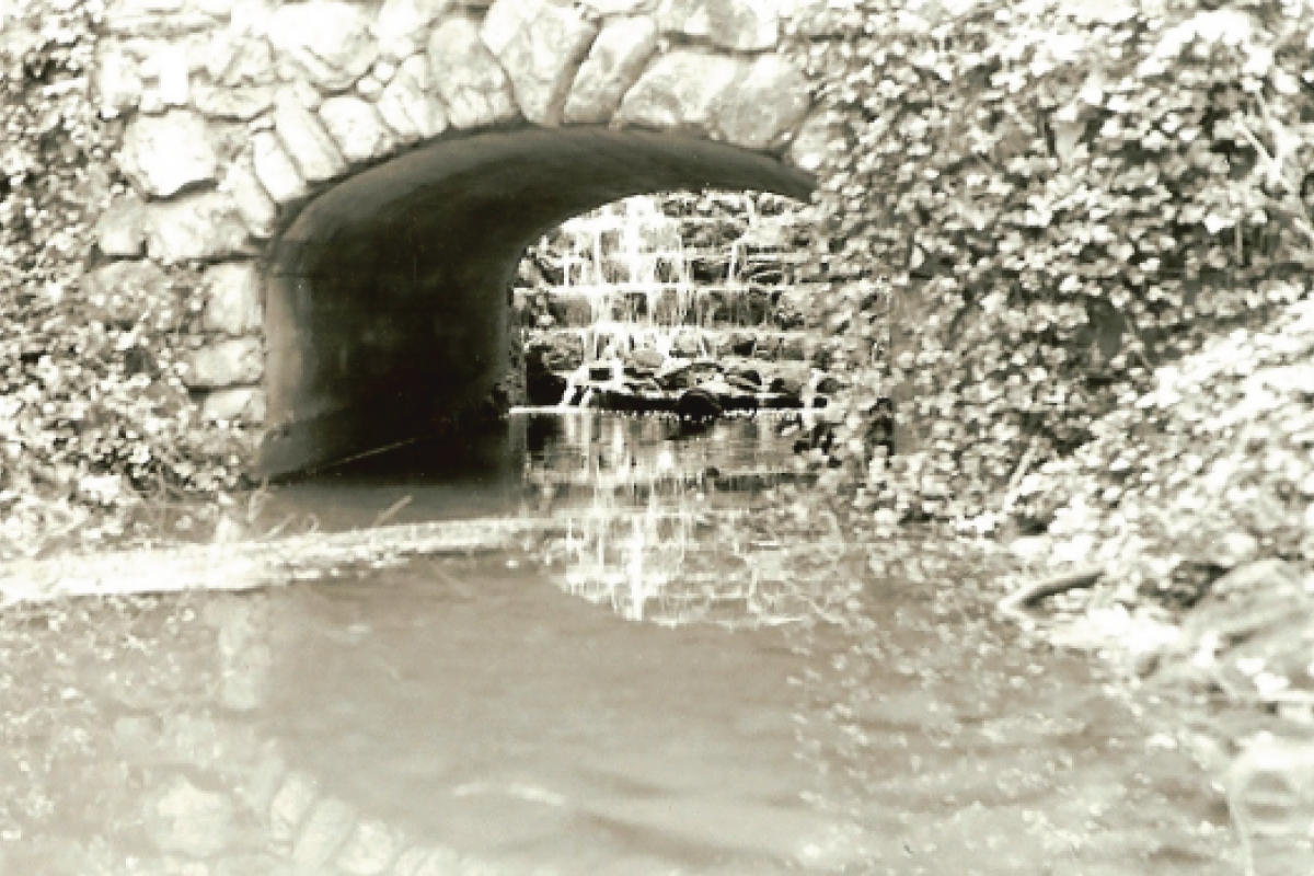 berry water wheel